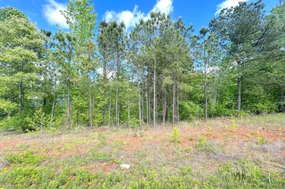 208 Oakdale Way Temple, GA 30179, Carroll County