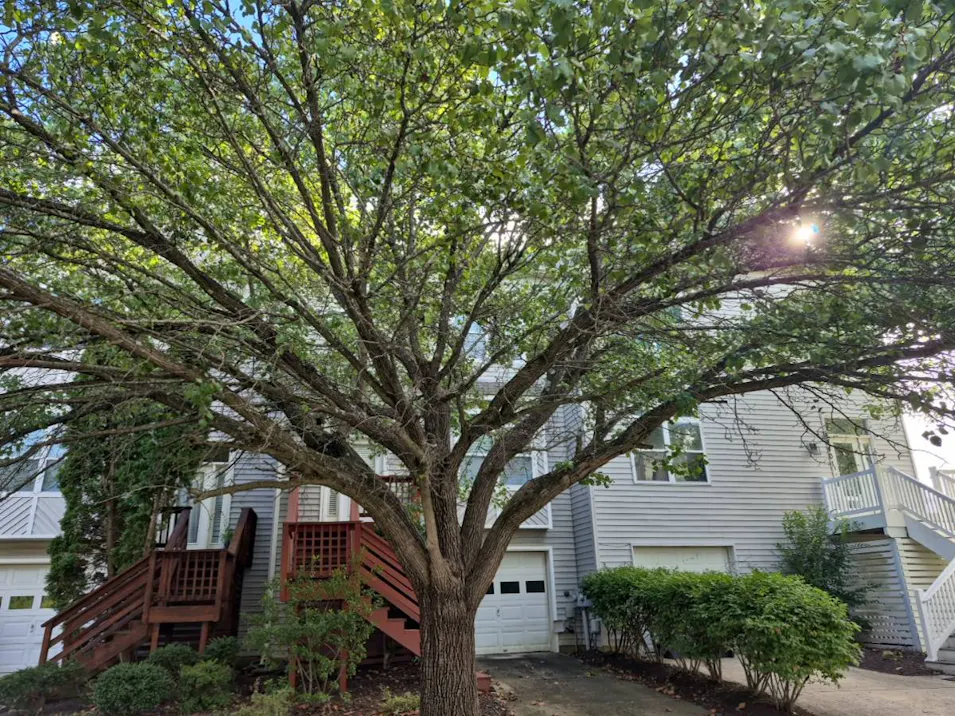 48403 Surfside Dr Lexington Park, MD 20653, St. Mary's County