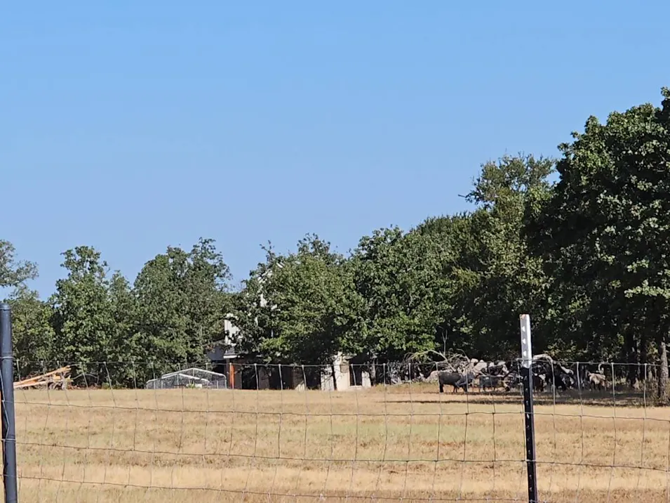 2175 Fm 3136 Cleburne, TX 76031, Johnson County