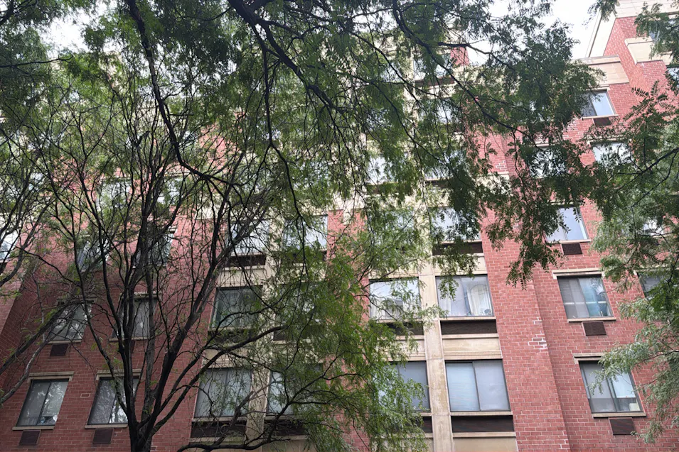 333 East 119th Street, Palm - Lobby J New York, NY 10035, New York County