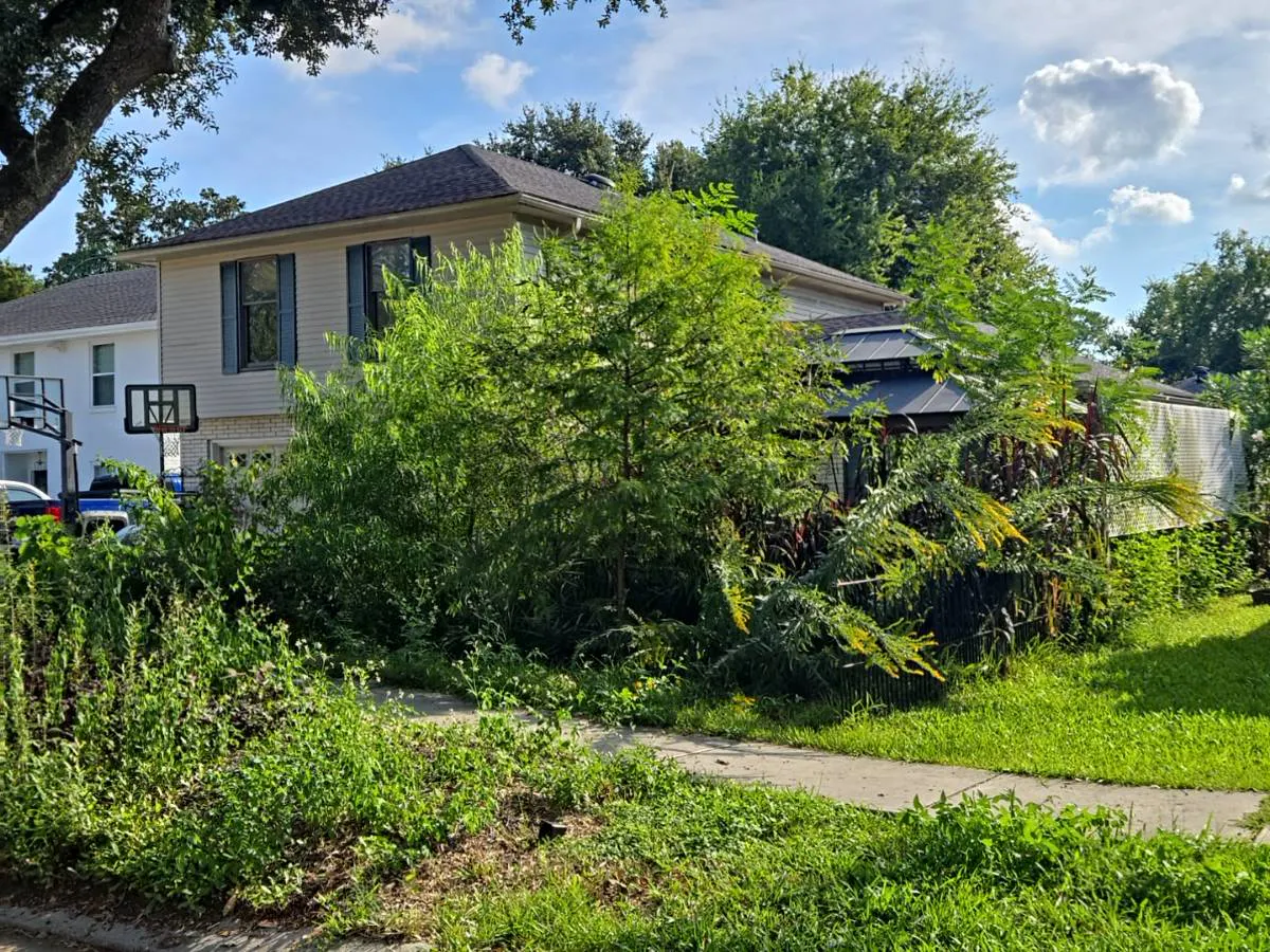 Rue Delphine , New Orleans, LA 70131 #1