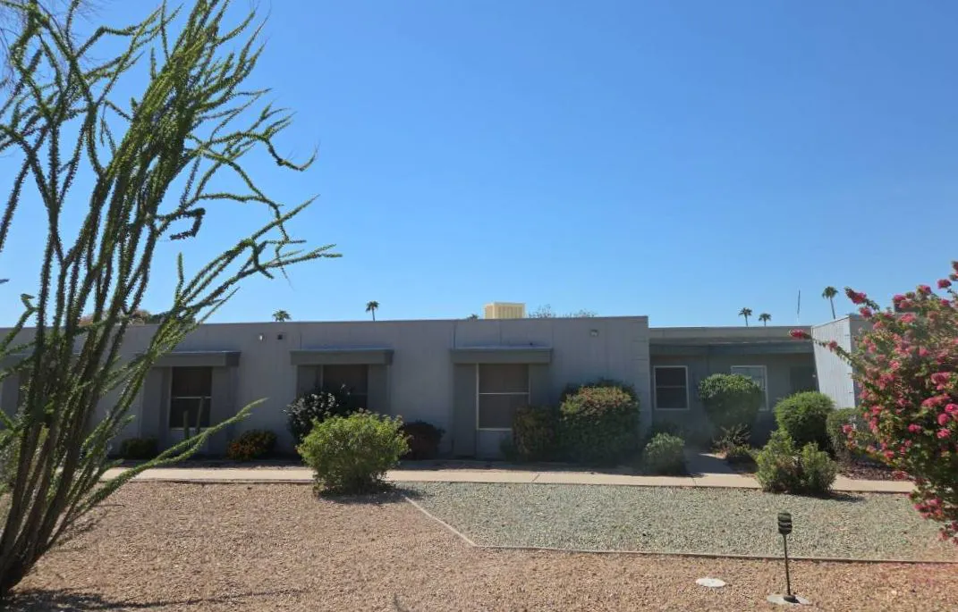 Palmeras Dr, Sun City, AZ 85373 #1