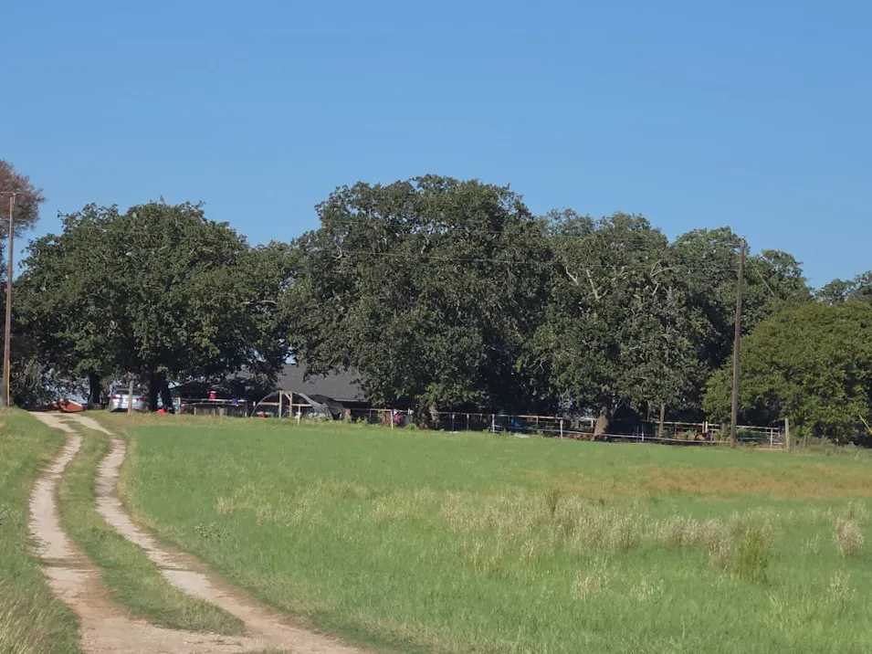 1310 County Rd 4360 Decatur, TX 76234, Wise County