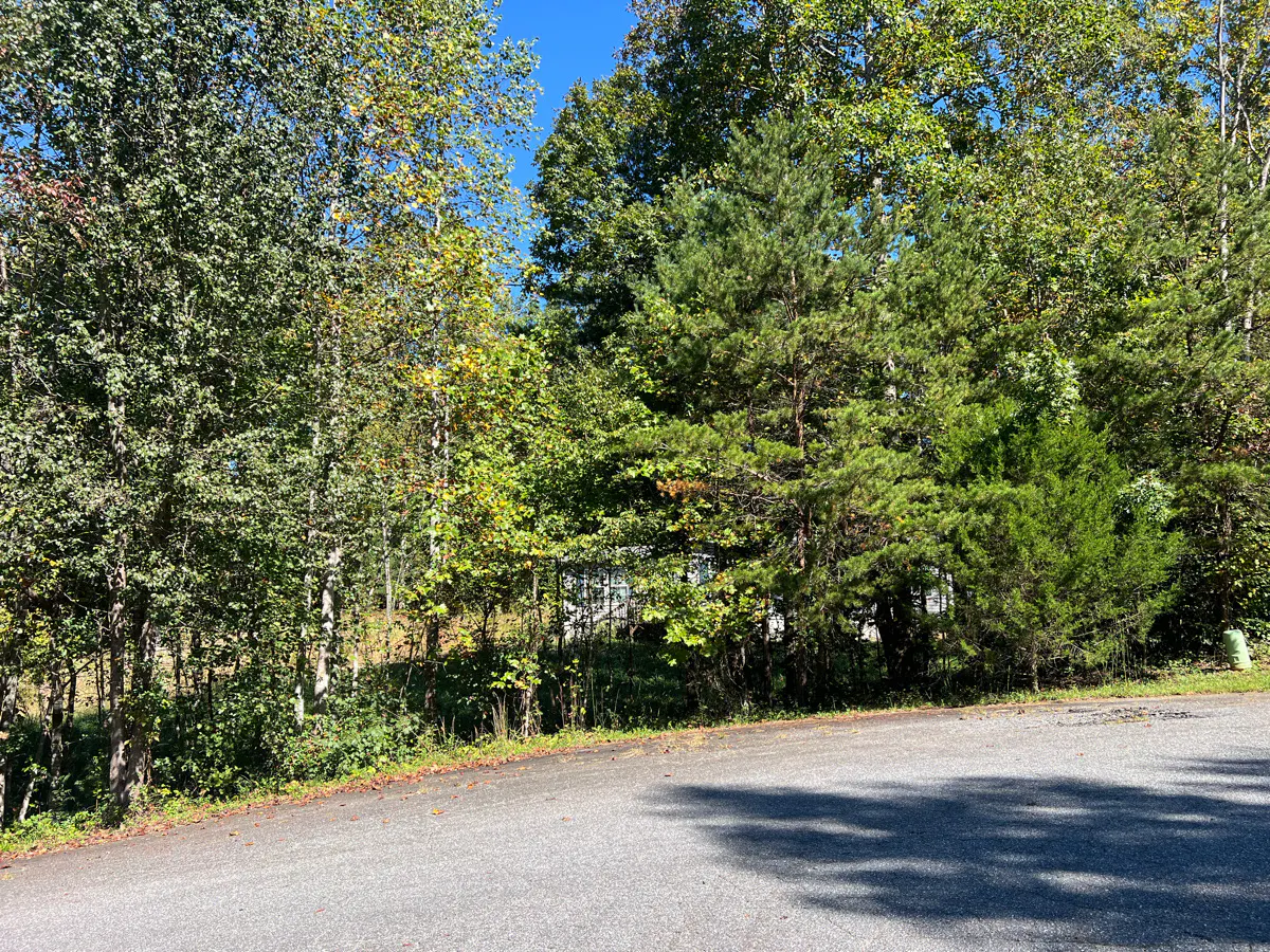 Dalton Dr, Morganton, NC 28655 #1