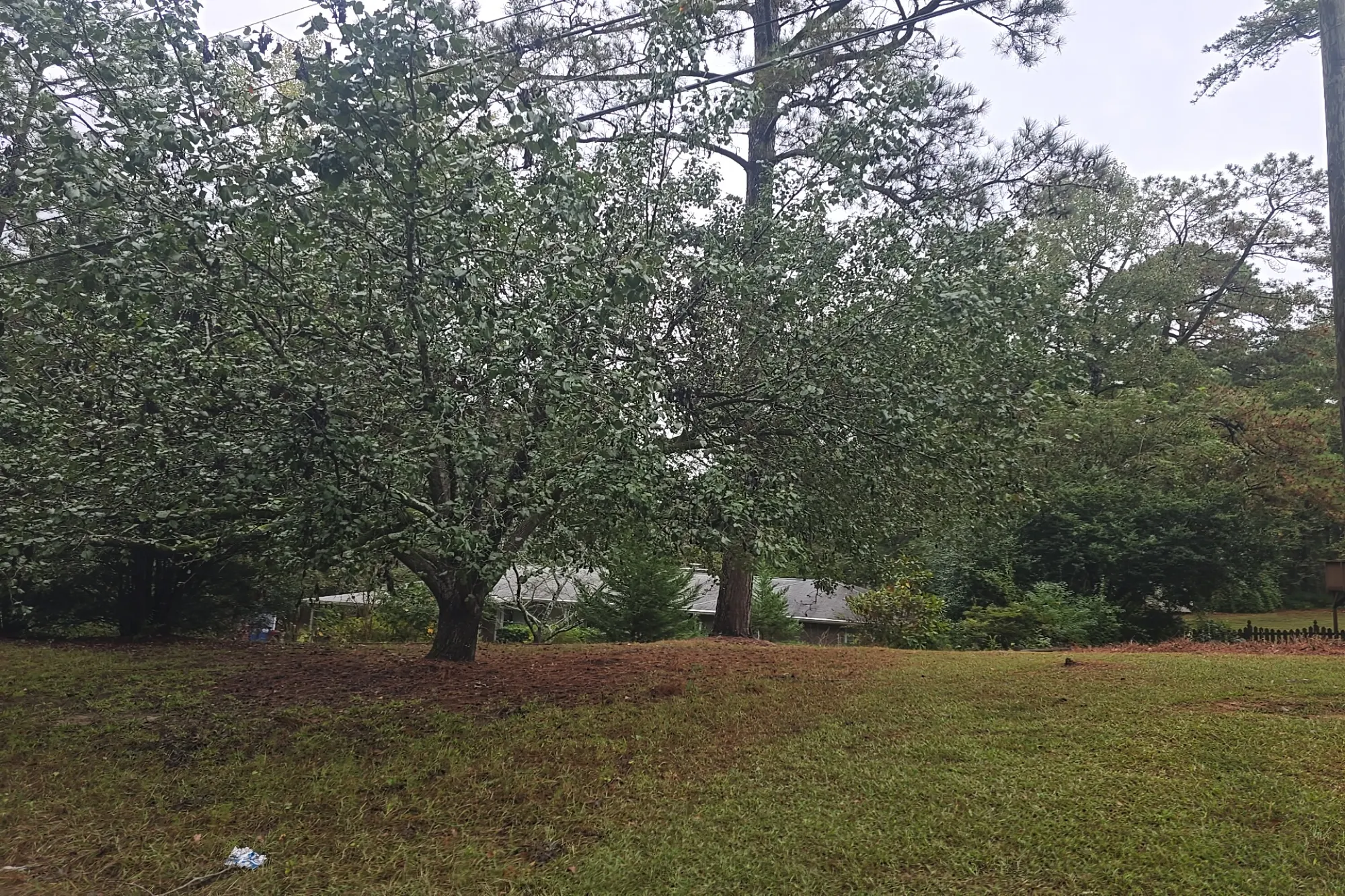 Idleway Dr, Macon, GA 31210 #1
