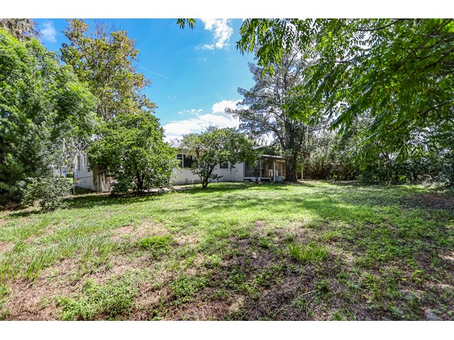 2824 Woodland Dr photo 3