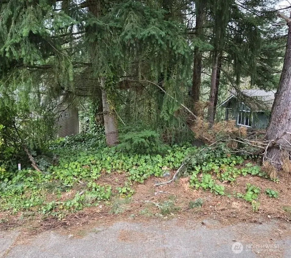 4684 152nd Place Southeast Bellevue, WA 98006, King County