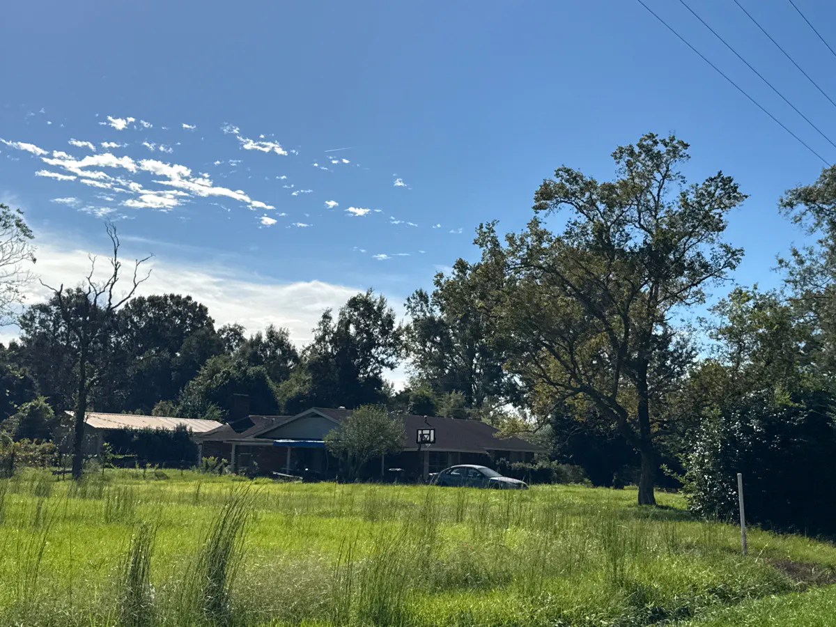 Lees Creek Rd, Bogalusa, LA 70427 #1