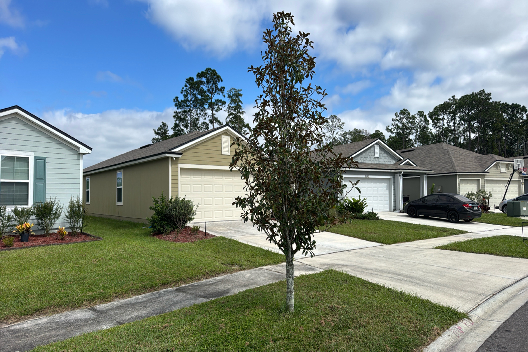 2672 Oak Stream Dr photo 3