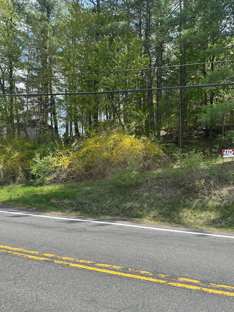 6067 New York 81 Greenville, NY 12083, Greene County