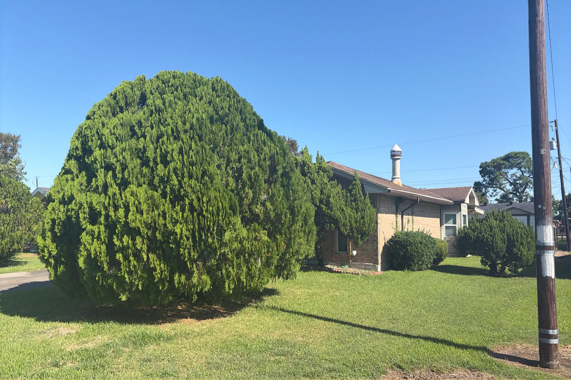 Vera Dr, Port Arthur, TX 77642 #1