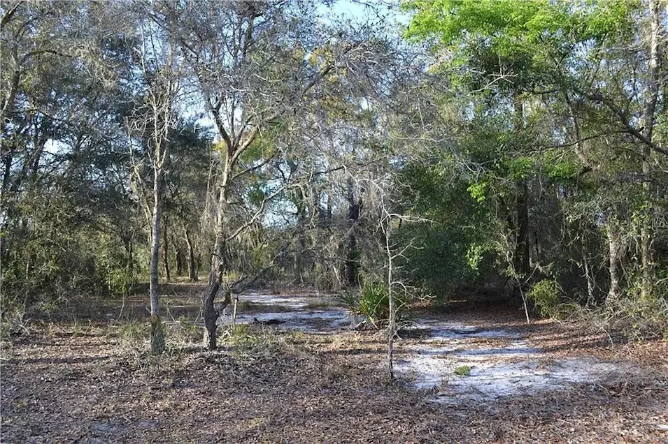 0 Walter St Hudson, FL 34669, Pasco County