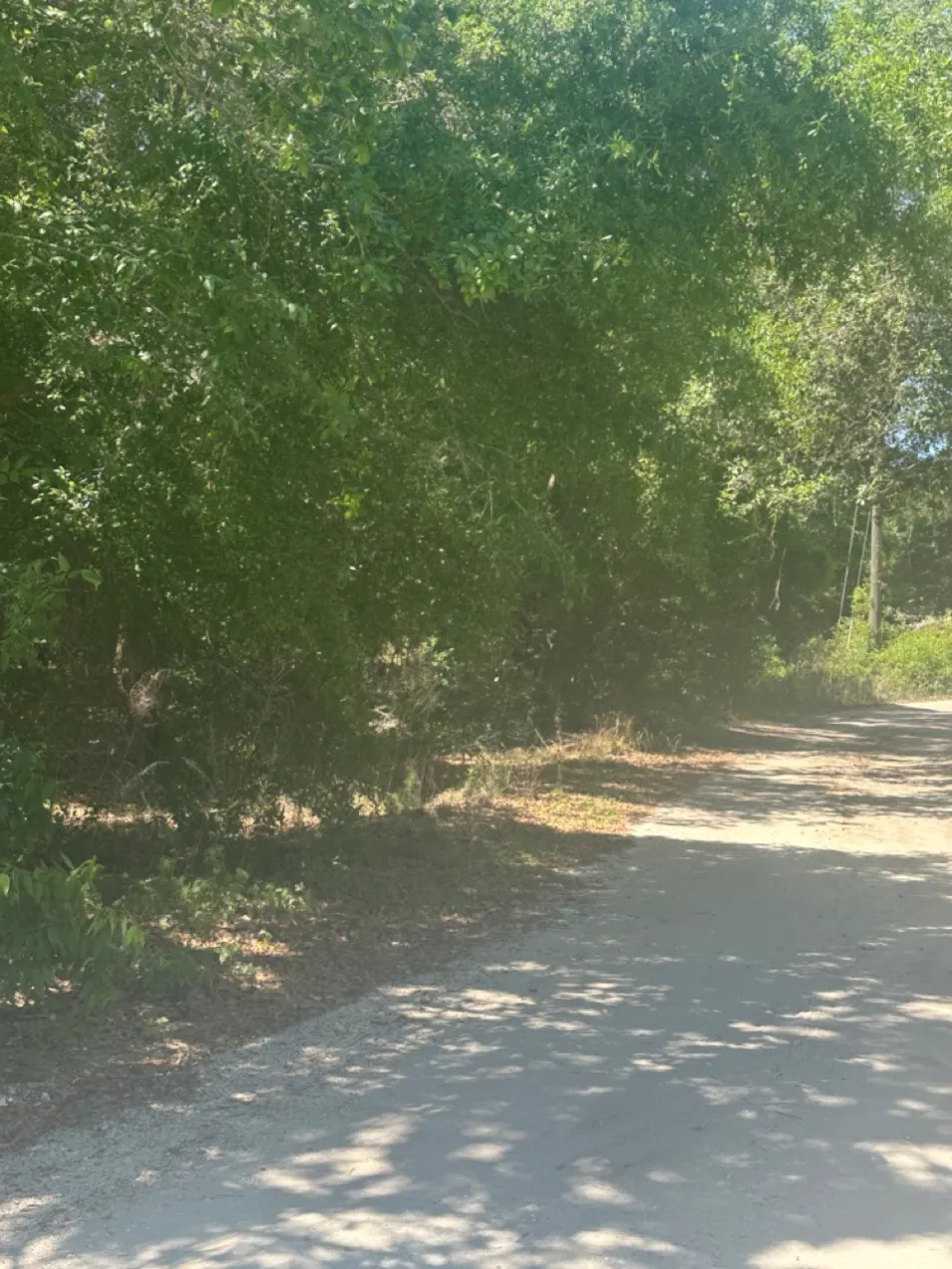 0 NW 12th St Ocala, FL 34482, Marion County