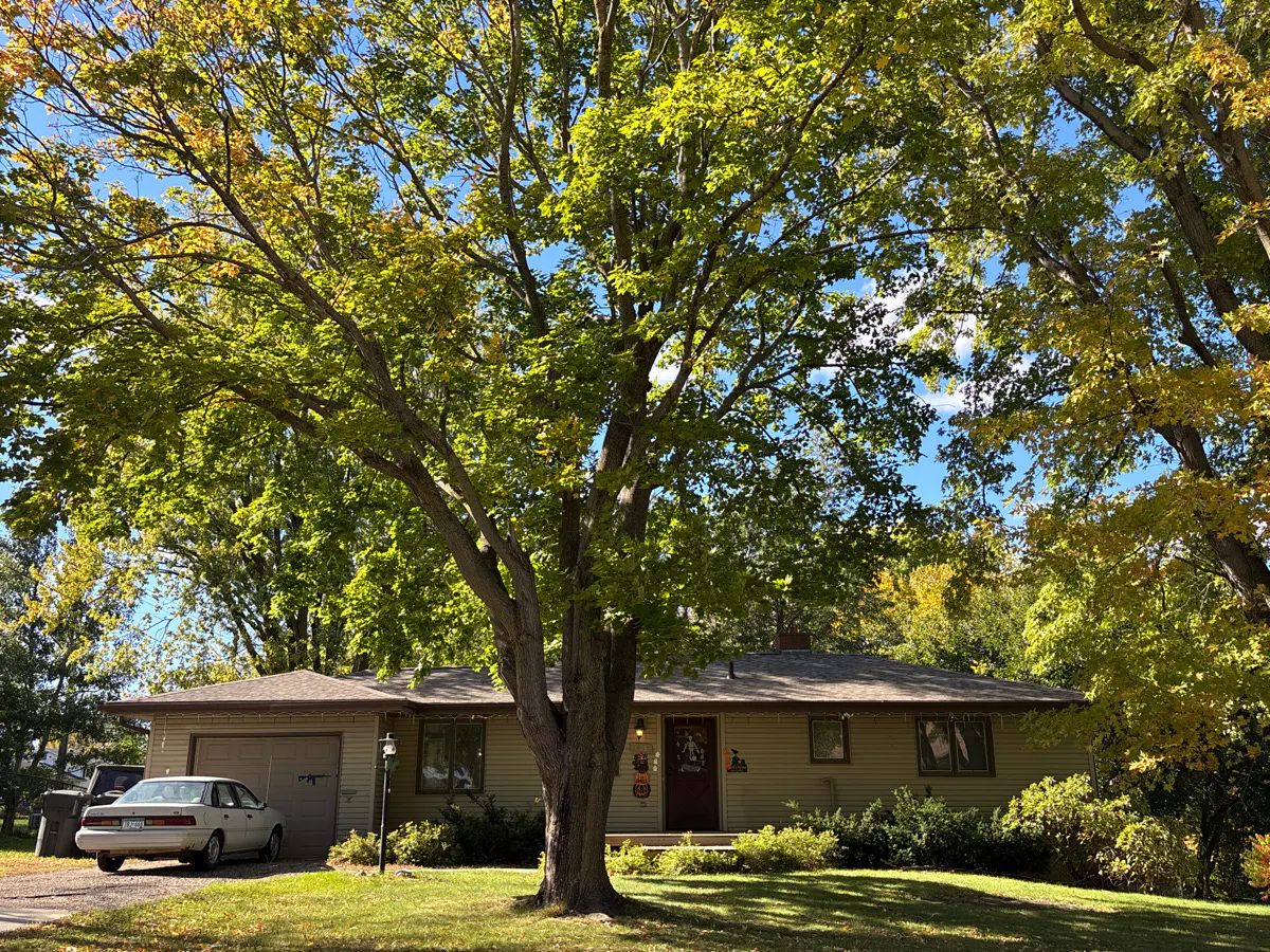4th St, Tracy, MN 56175 #1