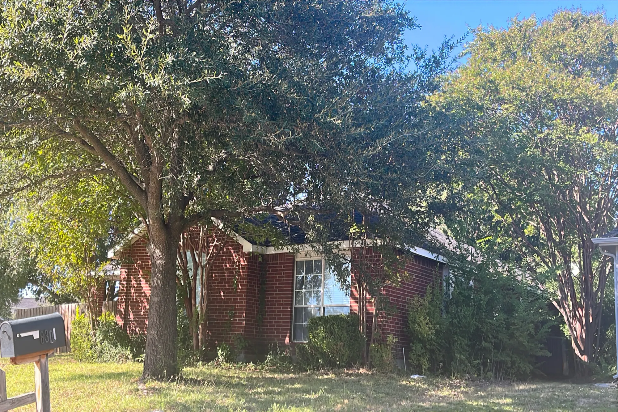 Meadowview St, Rowlett, TX 75088 #1