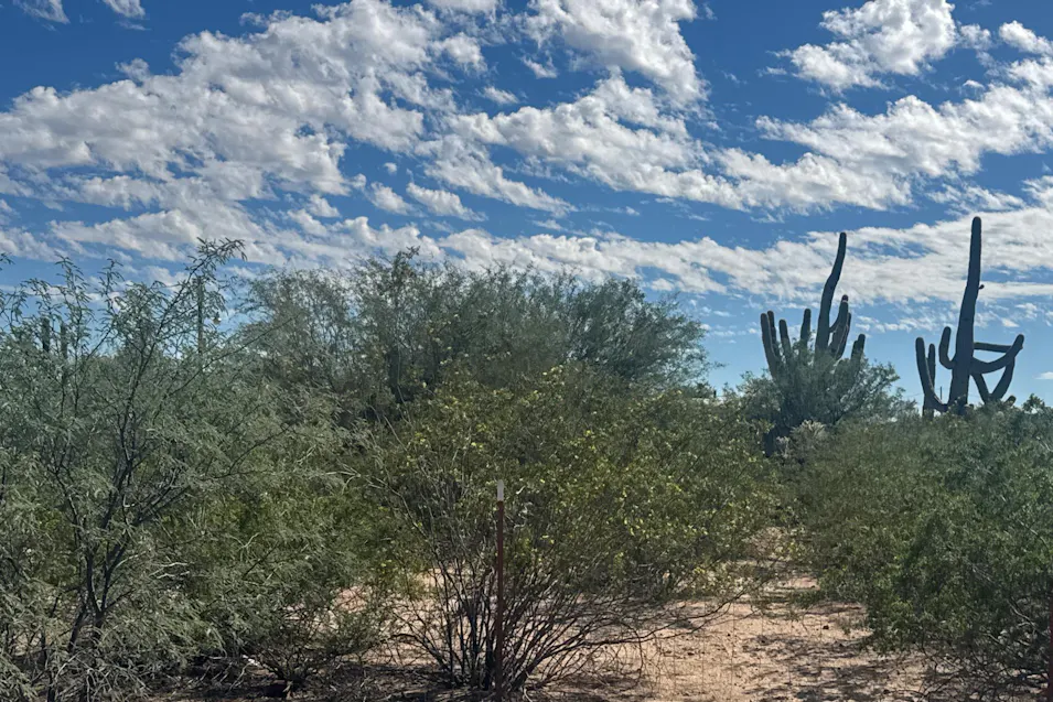 16515 W Sandy Street Marana, AZ 85653, Pima County