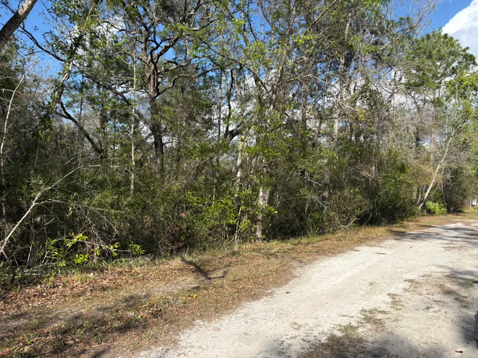 0 Duchess Ave New Port Richey, FL 34654, Pasco County