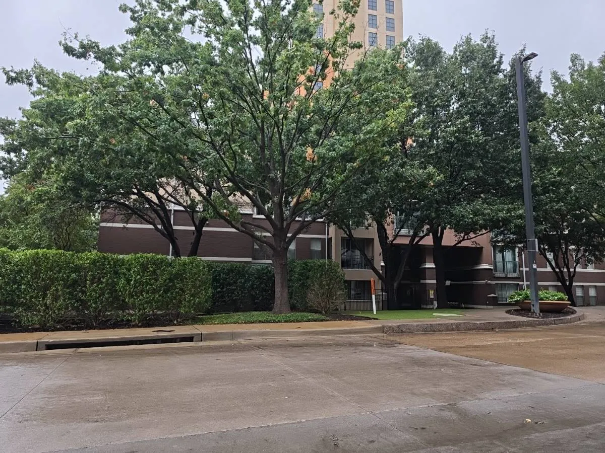 Las Colinas Blvd, Irving, TX 75039 #1