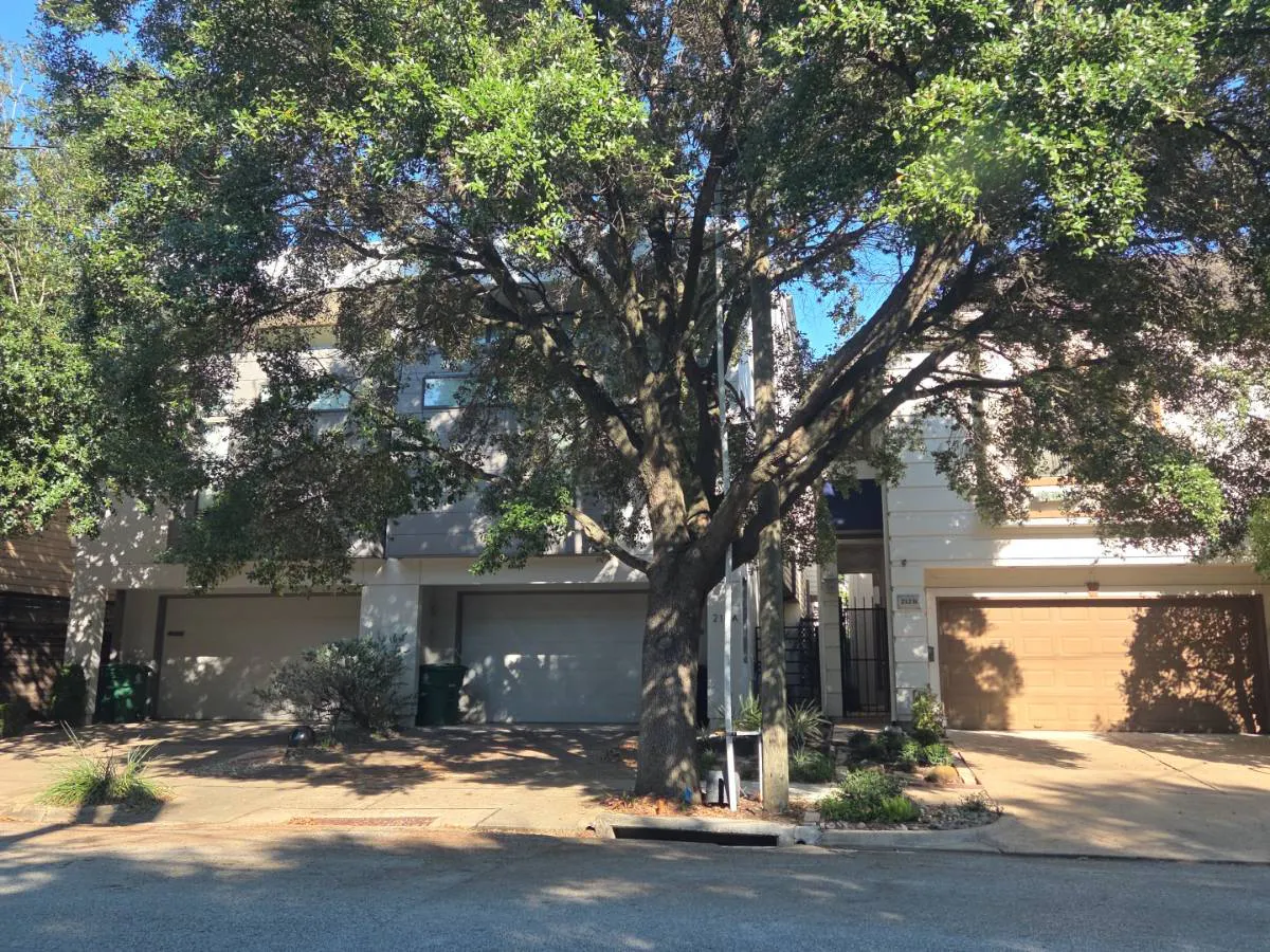 Birdsall St, Houston, TX 77007 #1