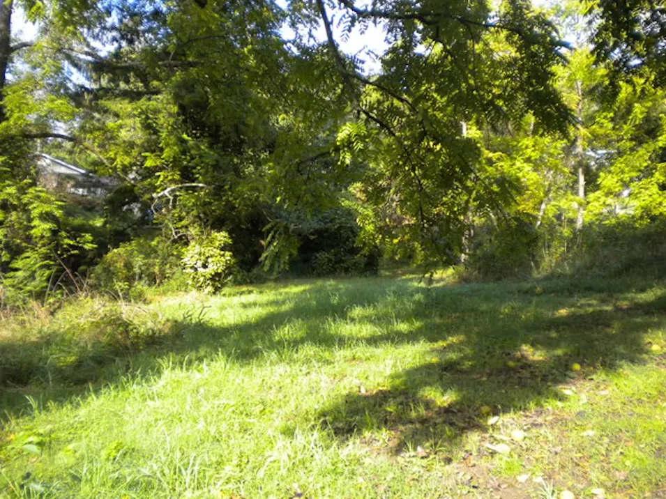 Hemlock Dr Lots 23-27 Asheville, NC 28803, Buncombe County
