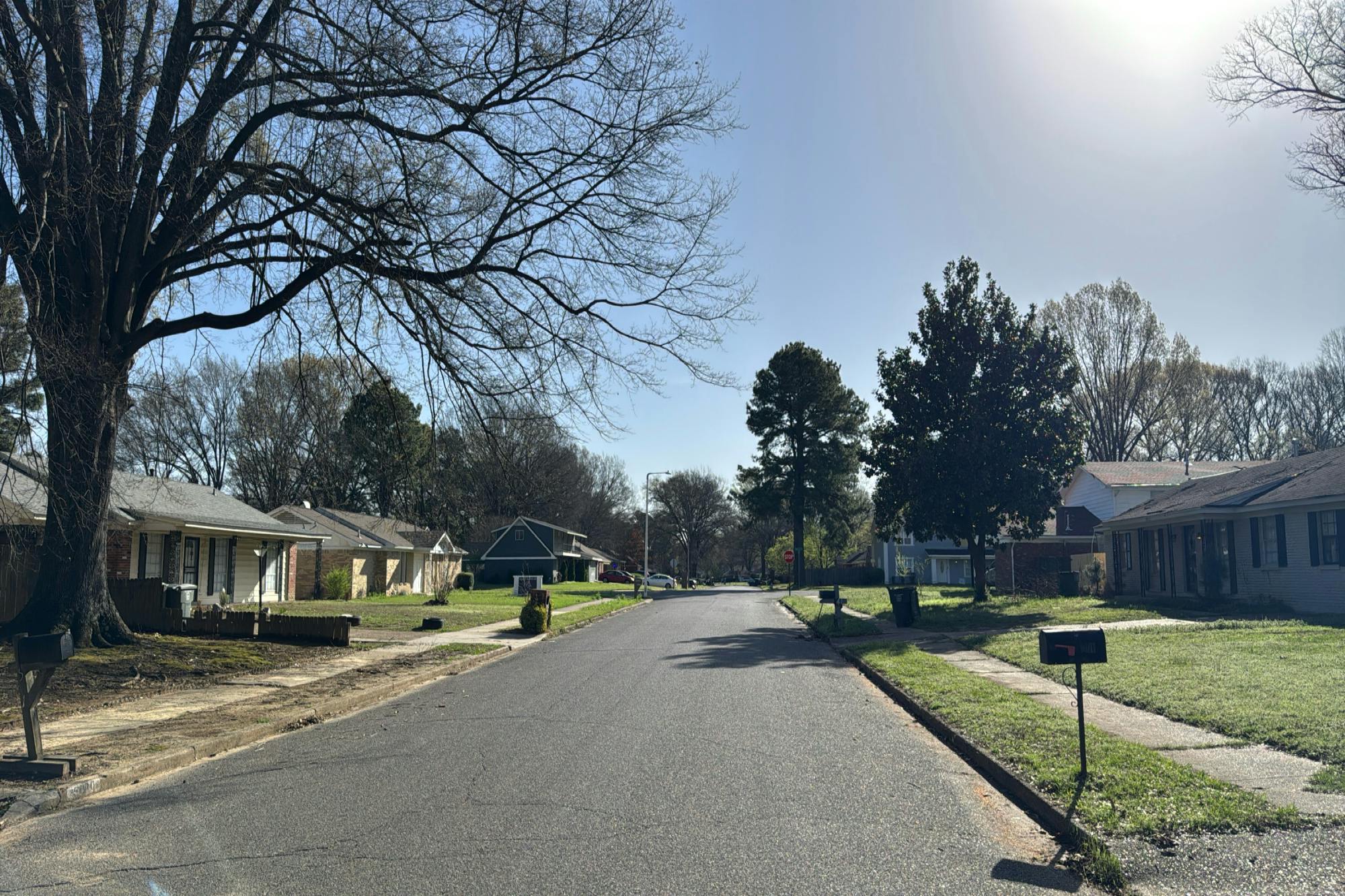 Judy Lynn Ave, Memphis, TN 38118