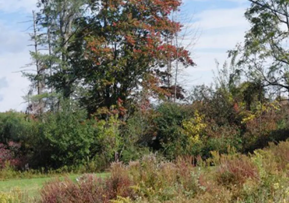 646 County Route 401 Westerlo, NY 12193, Albany County