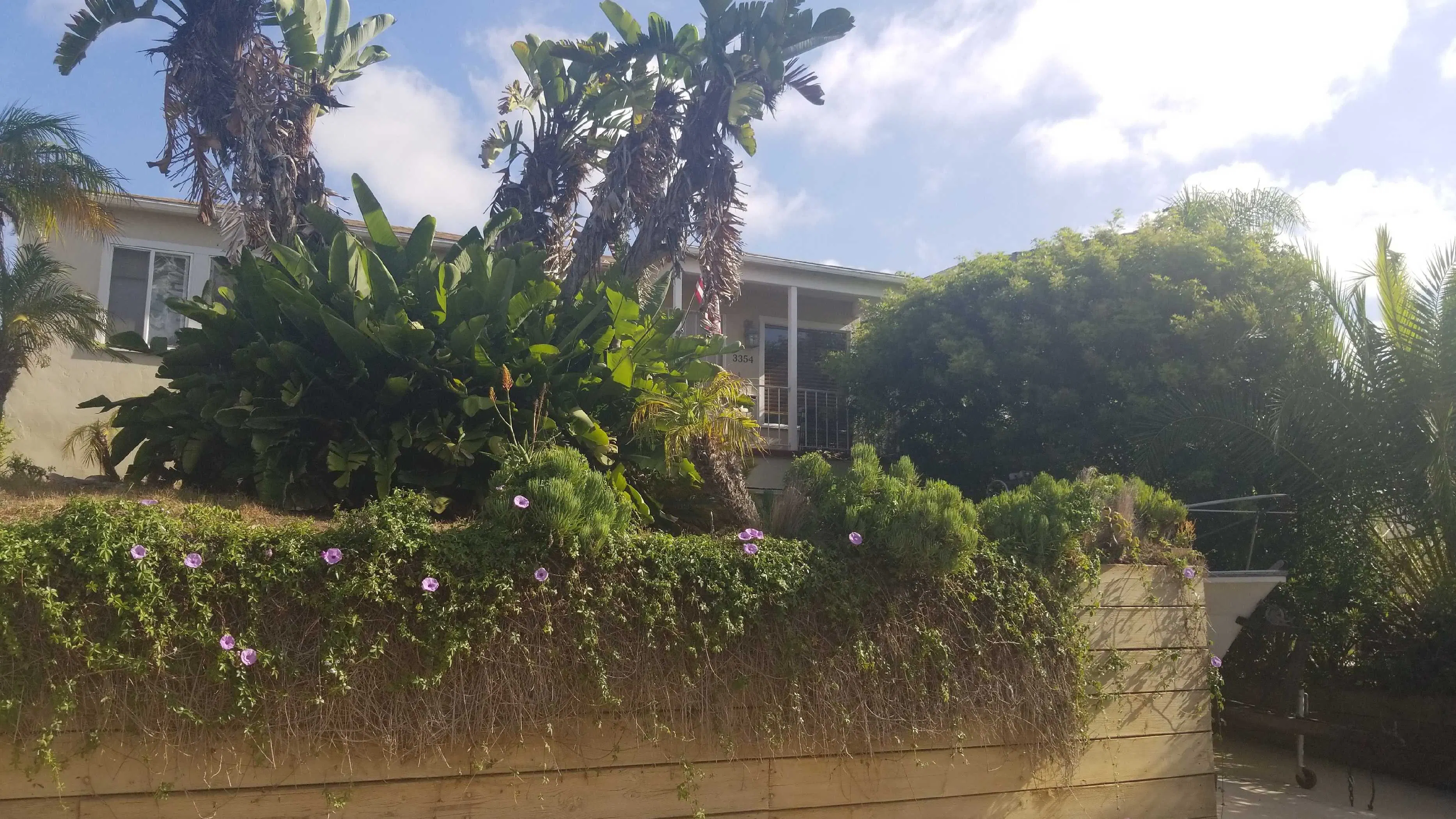 Hill St, San Diego, CA 92106 #1