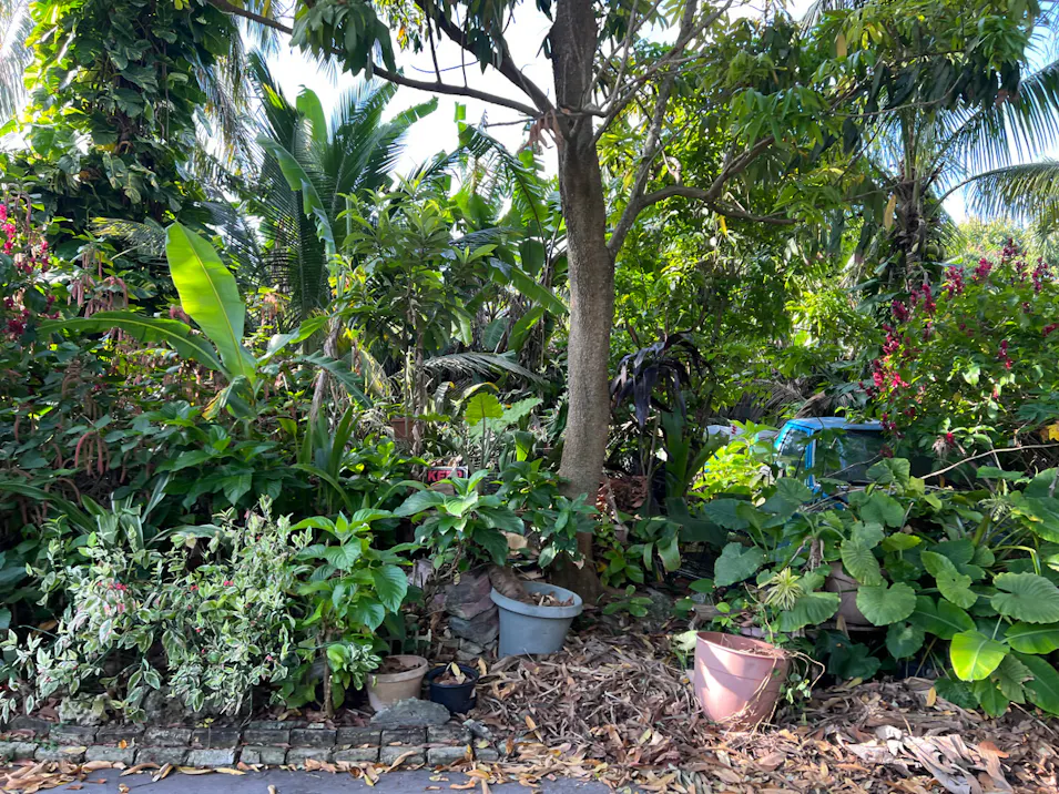 6340 Southwest 63rd Terrace South Miami, FL 33143, Miami-Dade County