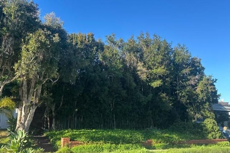 2260 30th Street Santa Monica, CA 90405, Los Angeles County