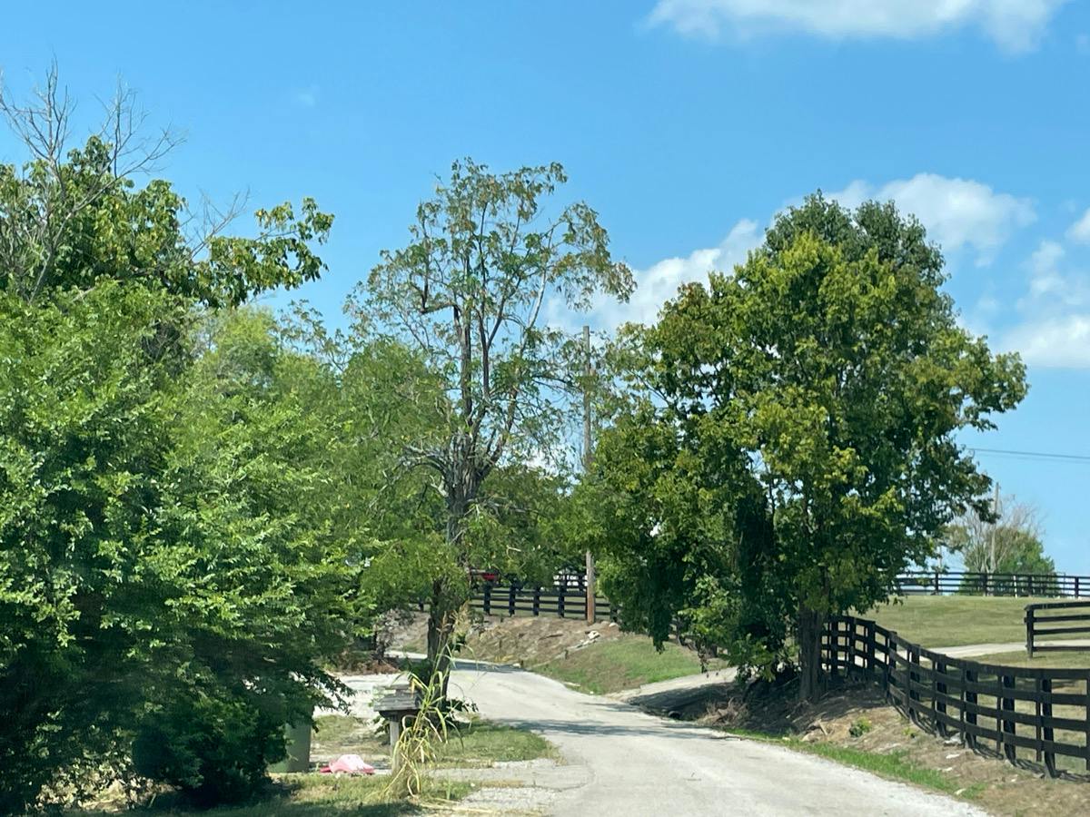 Bethlehem Rd, Waco, KY 40385