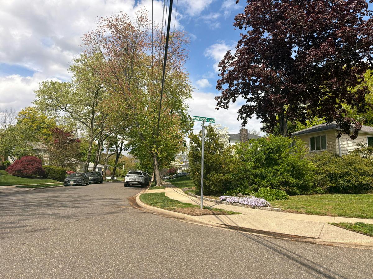 Morewood Oaks , Port Washington, NY 11050 #1