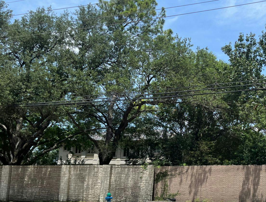San Felipe St, Houston, TX 77056