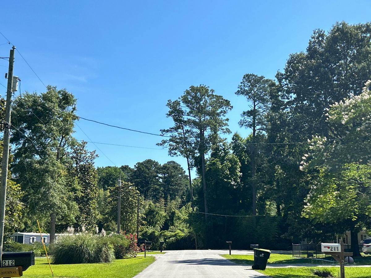 Selover Ave, New Bern, NC 28560