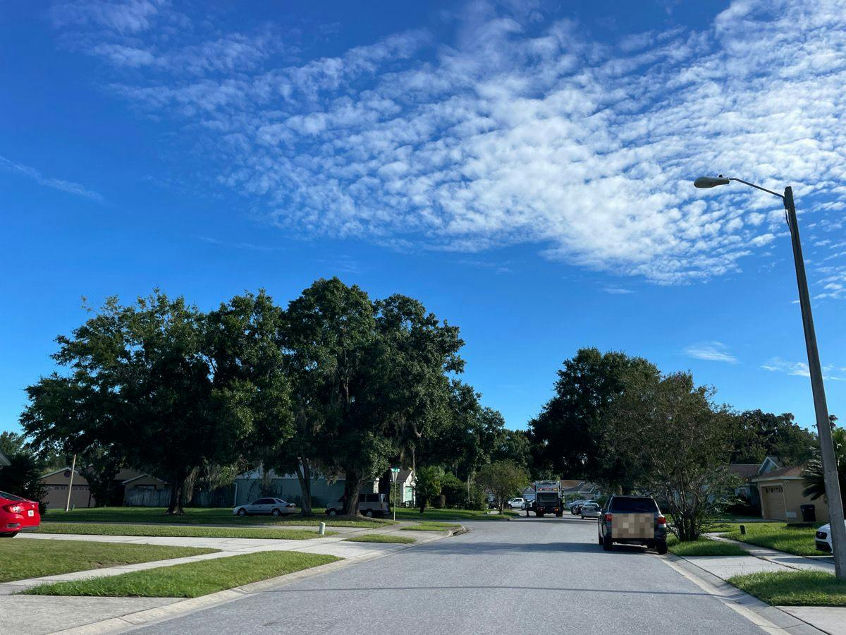 Ponderosa Pine Ct, Orlando, FL 32825