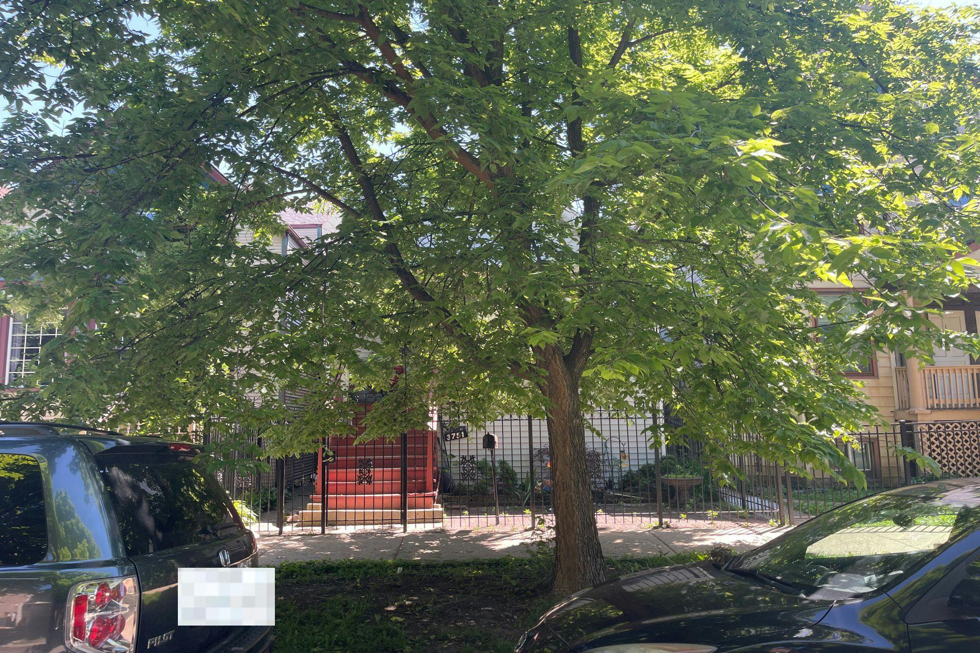 Lyndale St, Chicago, IL 60647