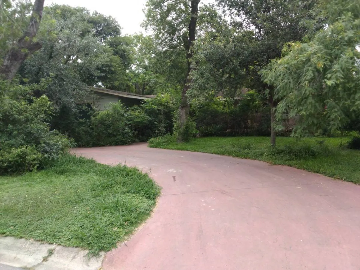 Calle Retama , Brownsville, TX 78520 #1
