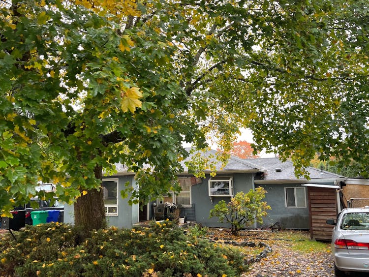 11226 SE Bush St Portland, OR 97266, Multnomah County