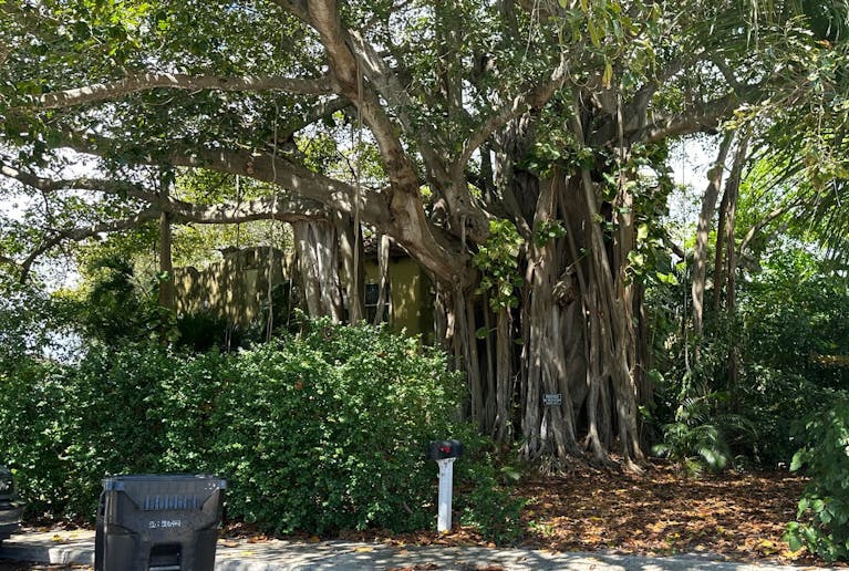 Palm Beach County, FL Online Property Auctions & Foreclosures for Sale -  Auction.com