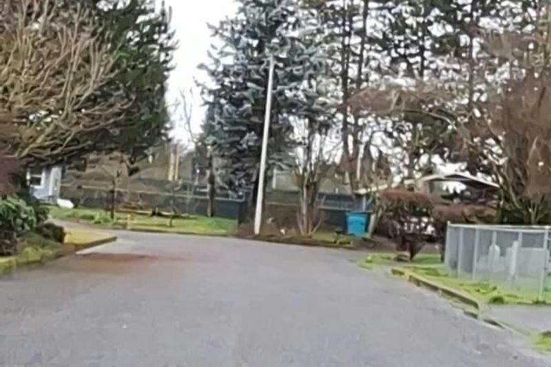 82nd Cir, Vancouver, WA 98682