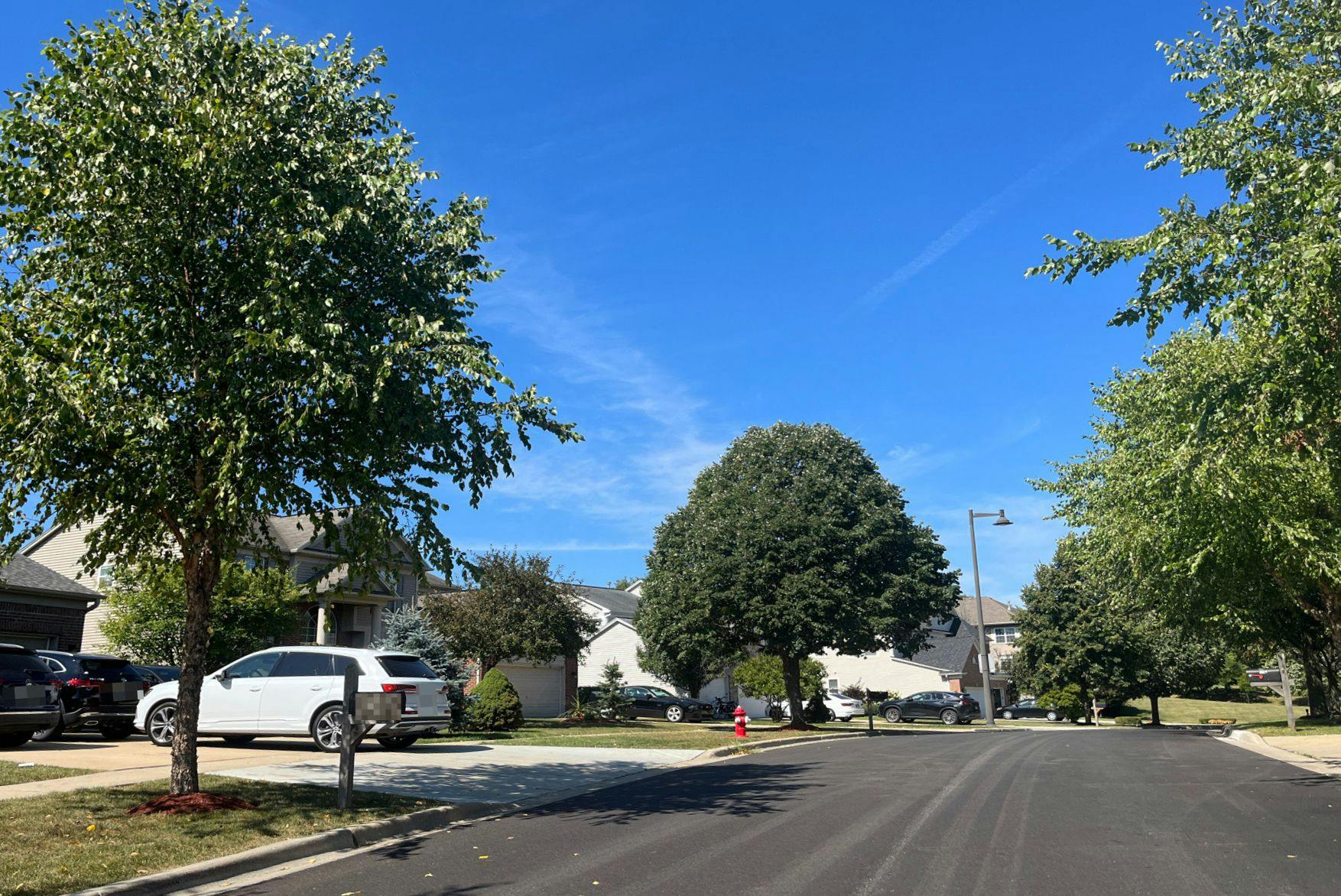 Wildflower Way, Streamwood, IL 60107