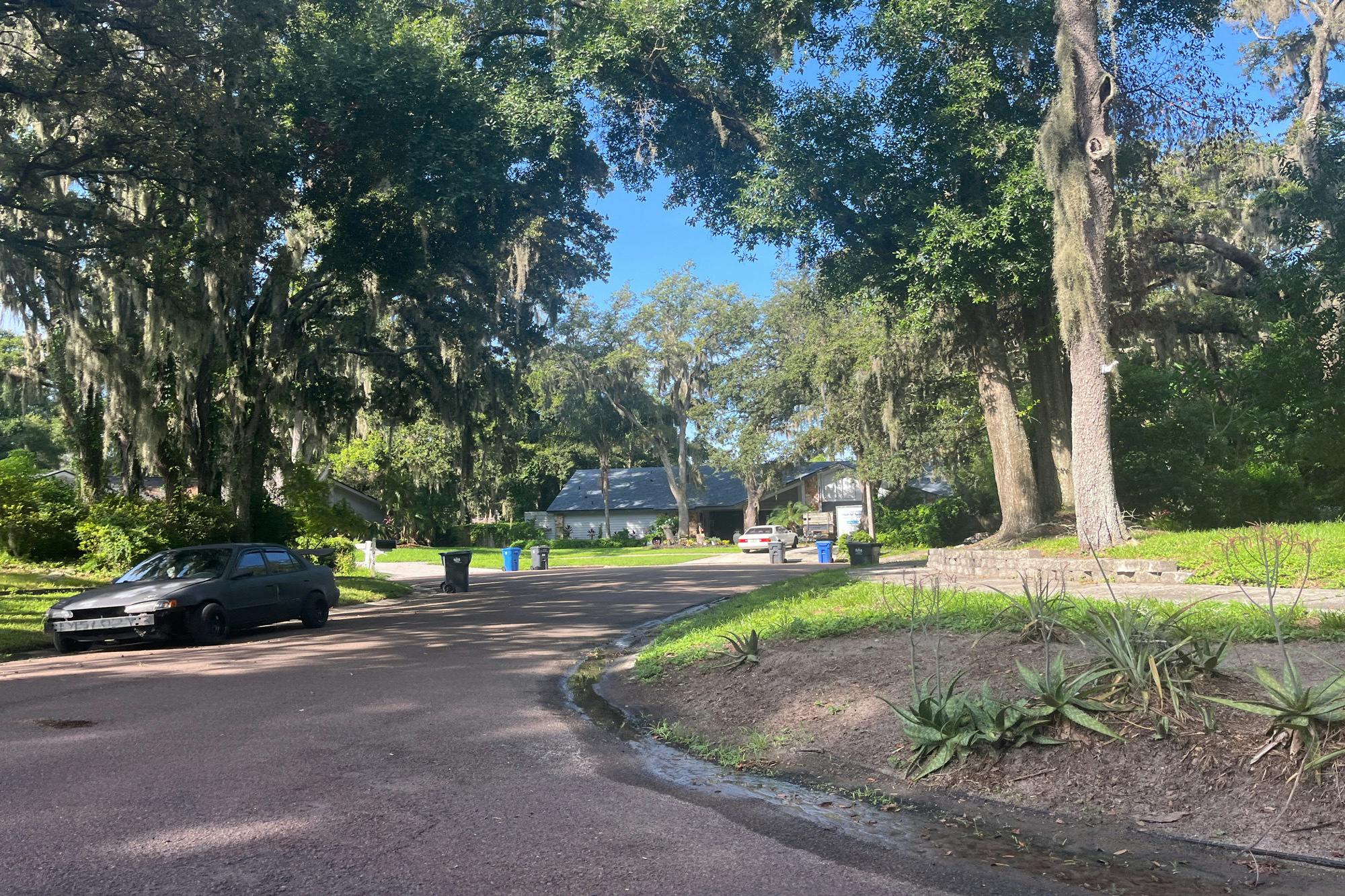 Doefield Ct, Valrico, FL 33596