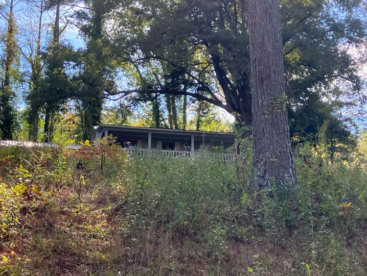 78870 Us Highway 231 Blountsville, AL 35031, Blount County