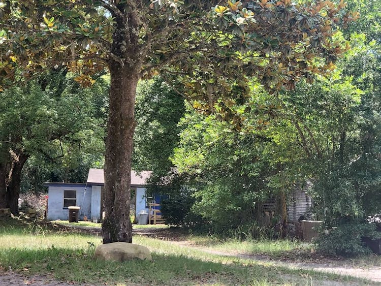 6560 Ribault Rd Jacksonville, FL 32209, Duval County