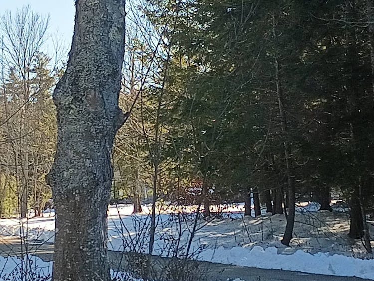 86 Beech Ridge Rd Eliot, ME 03903, York County