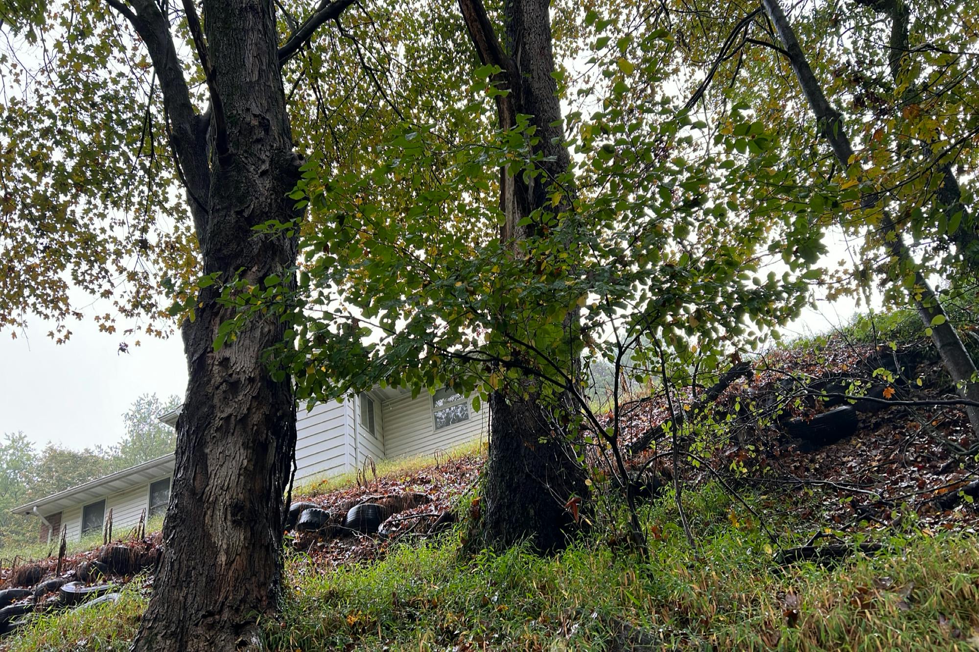 Shingler Dr, Apollo, PA 15613