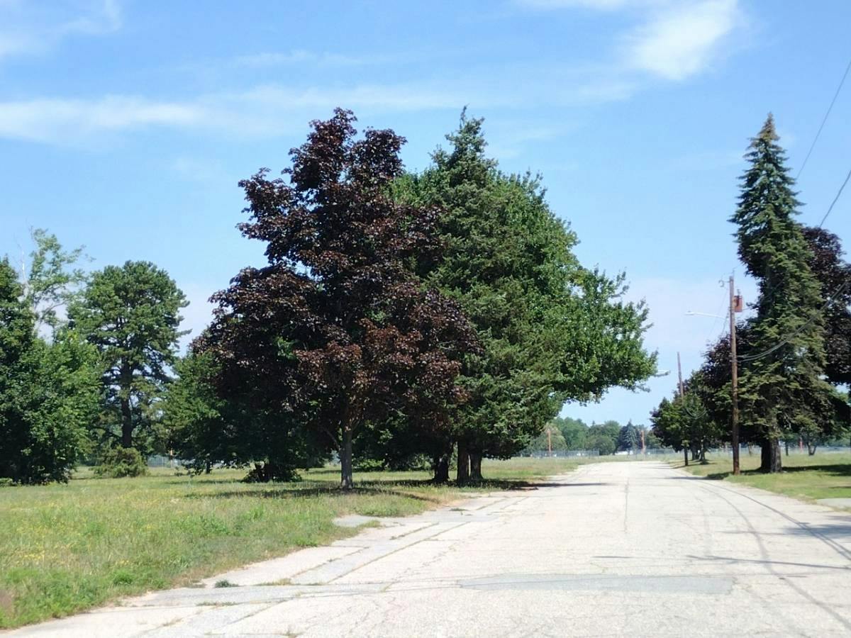 Groveland Ave, Warwick, RI 02886