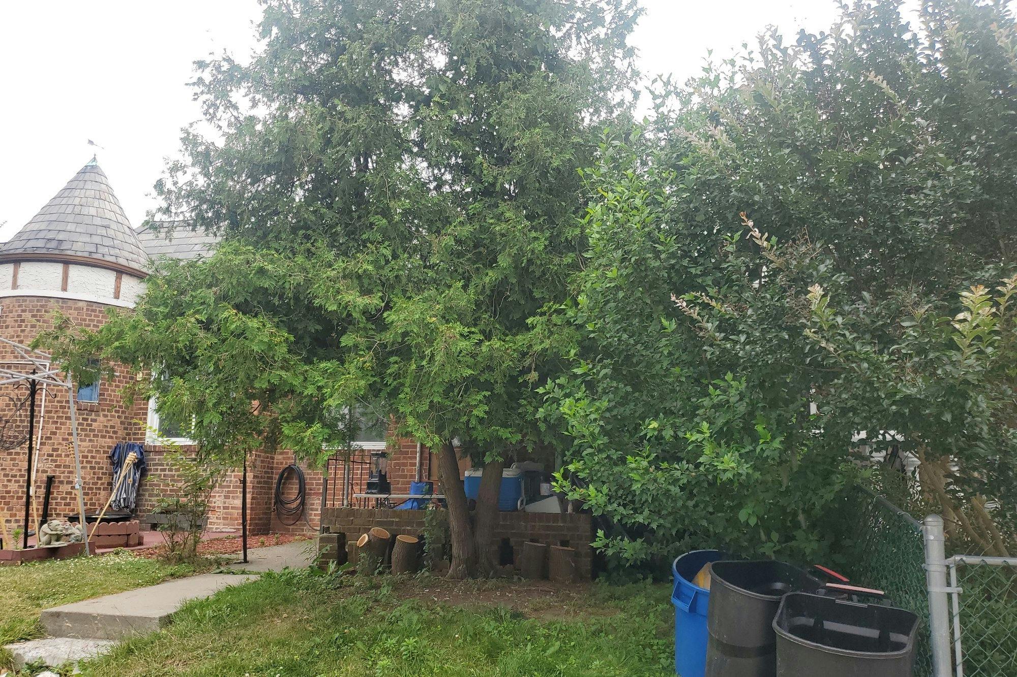 Victoria Dr, Jamaica, NY 11434 #1