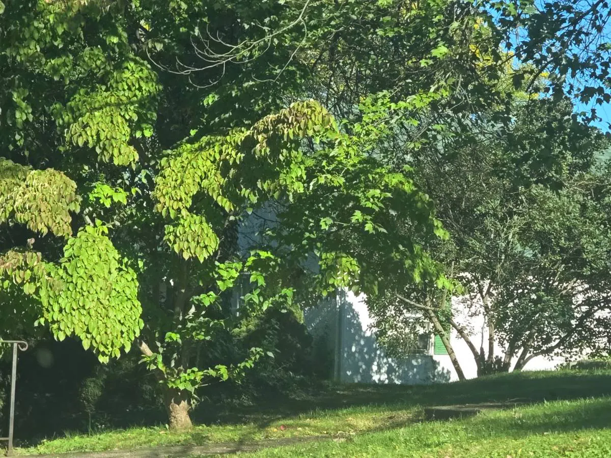 Diamond St, Sellersville, PA 18960 #1