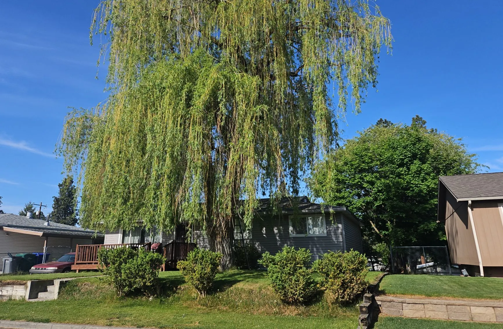 Normandie St, Spokane, WA 99208 #1