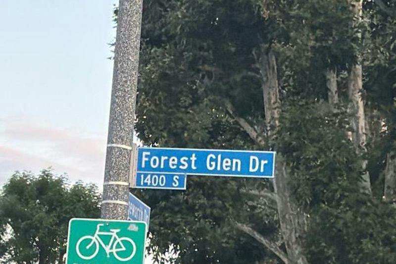 Forest Glen Dr, Hacienda Heights, CA 91745 #1